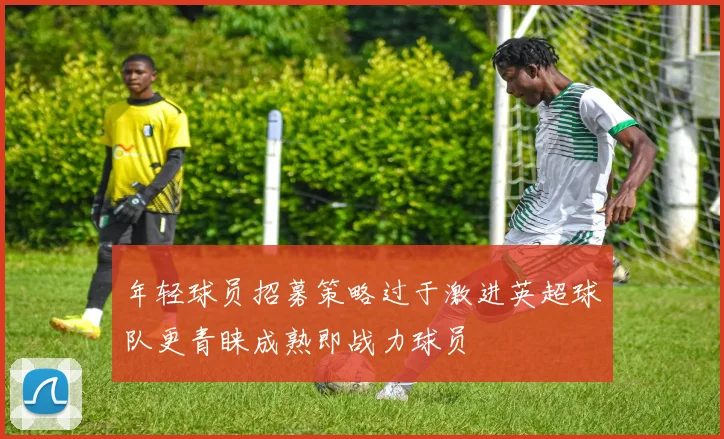 年轻球员招募策略过于激进英超球队更青睐成熟即战力球员