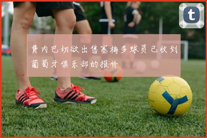 费内巴切欲出售塞梅多球员已收到葡萄牙俱乐部的报价